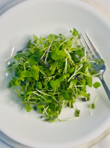 Microgreens on various dishes